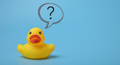 rubber duck asking awkward question